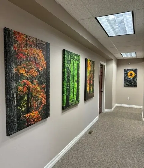 The hallway inside Times Square Dental, hung with large nature photographs.